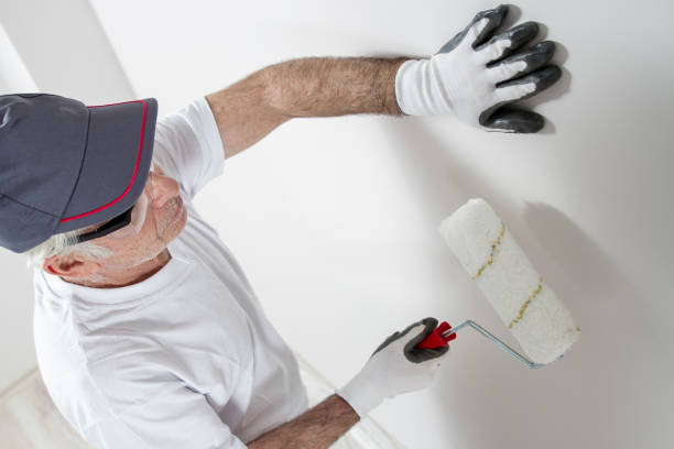 Best Mold Prevention Services  in Sturgis, KY