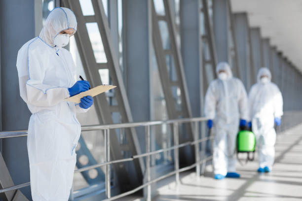 Best Environmental Consulting for Mold Prevention  in Sturgis, KY