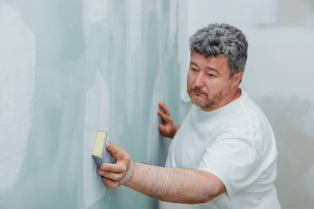 Best Biohazard Mold Removal  in Sturgis, KY