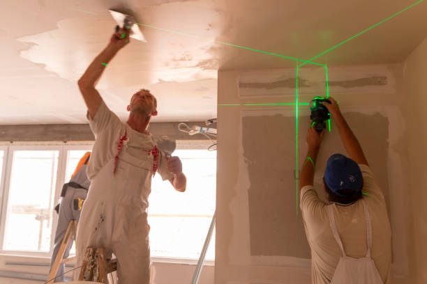 Best Post-Construction Mold Inspection  in Sturgis, KY