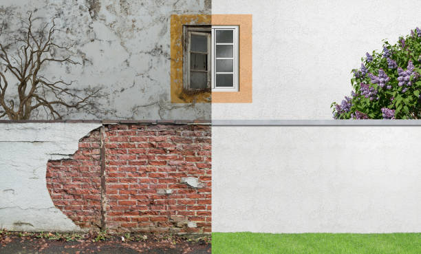 Best Real Estate Mold Inspection  in Sturgis, KY