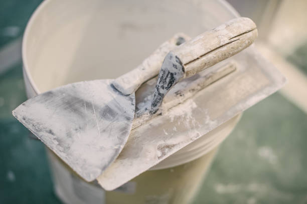 Trusted Sturgis, KY Mold Removal Experts
